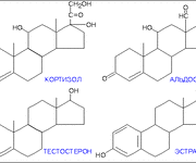 Химический анализ стероидов
